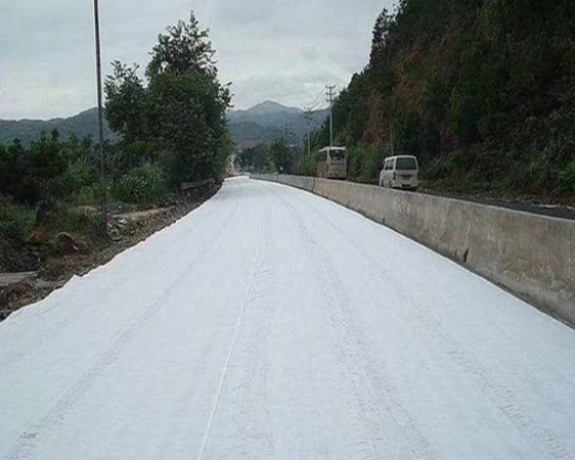 Geogrid for Slope Stabilization