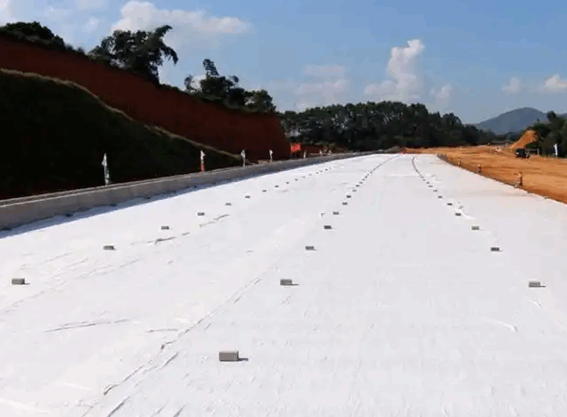 Geotextile Road Fabric