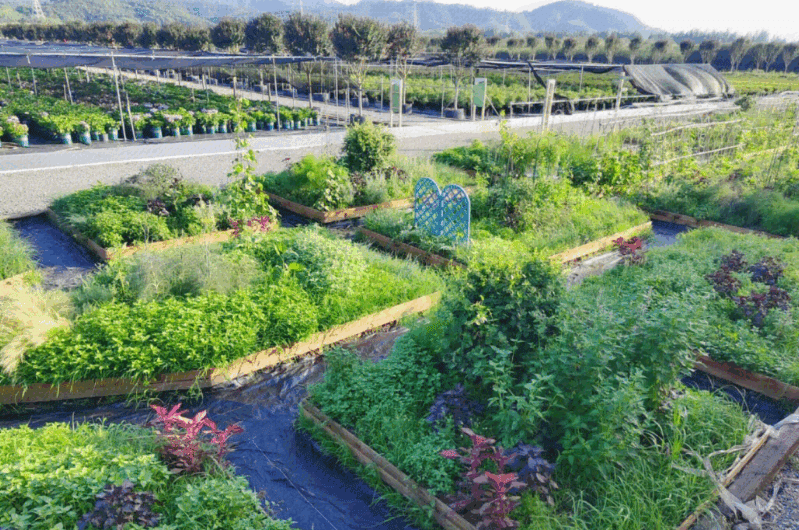 Best Weed Barrier for Gardens?