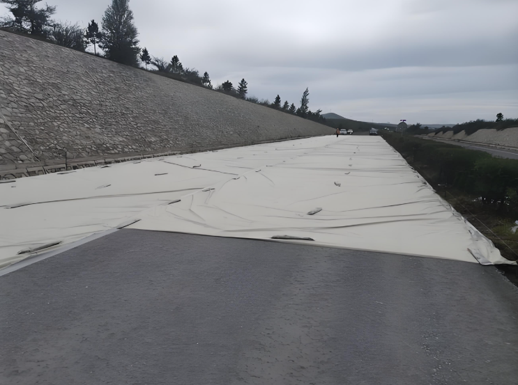 Best Geotextile Fabric for Gravel Driveway