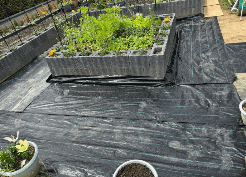 the Best Landscape Fabric for Drainage