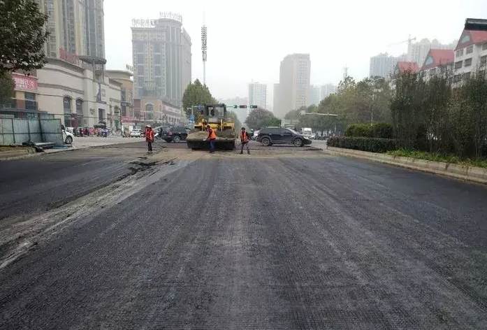 The 4 Best Geogrid for Gravel Driveway