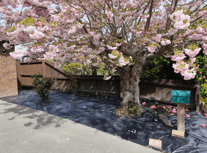 geotextile drainage fabric