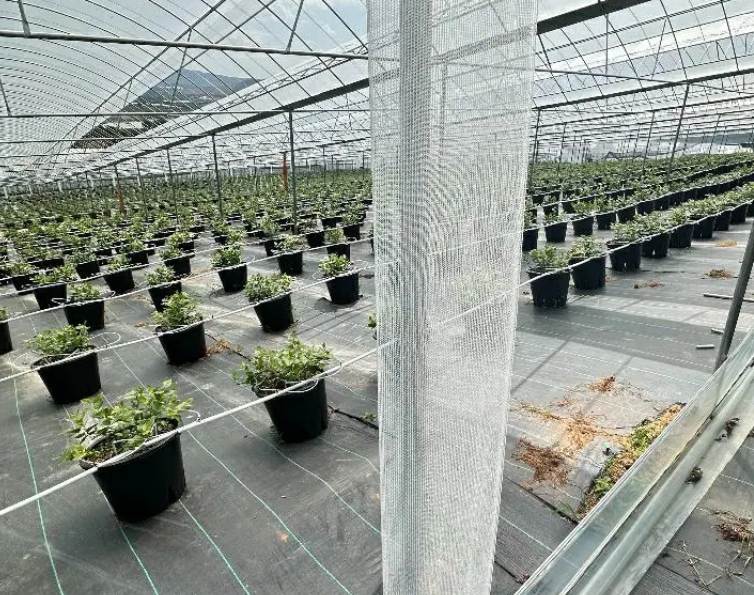 Best Landscape Fabric for Vegetable Ga