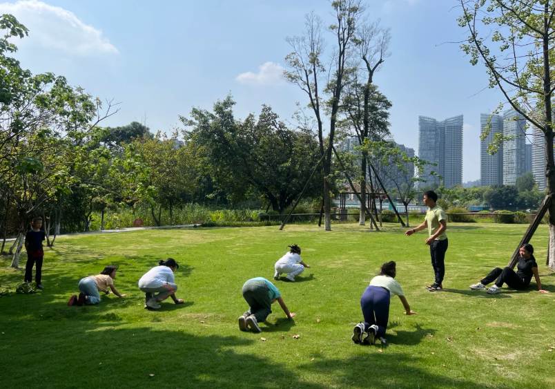 best landscape fabric for playgrounds