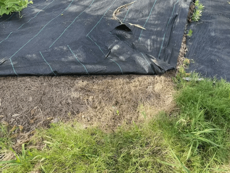 geotextile weed barrier