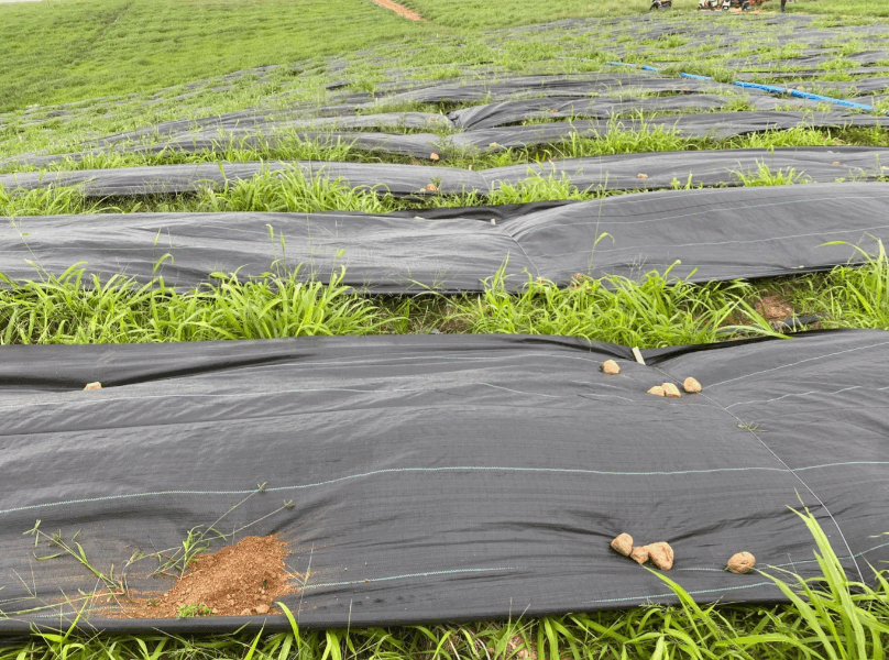 non woven geotextile landscape fabric