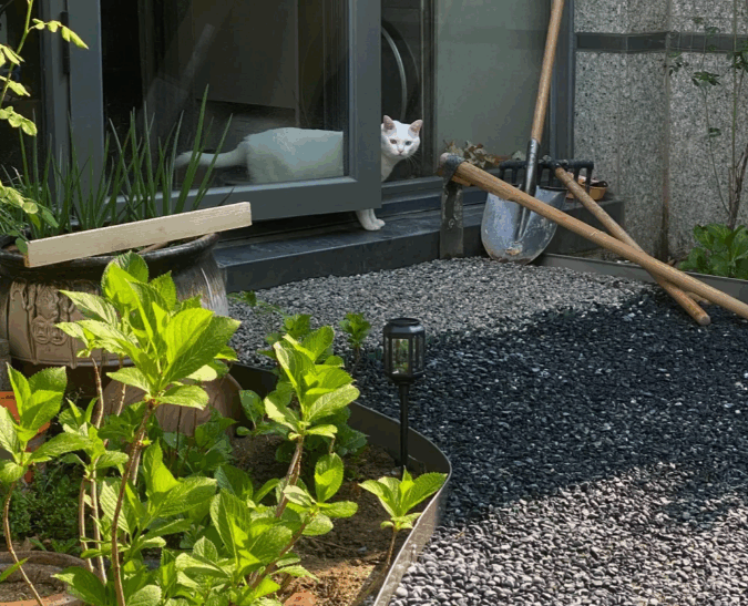 Does Geotextile Fabric Stop Weeds?