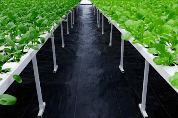 the Best Landscape Fabric